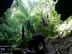 -怀托摩萤火虫洞