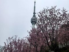 -龟山风景区-龟山电视塔