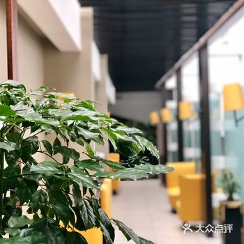可以供旅客休息。绿色搭配黄色座椅，阳光洒进来！