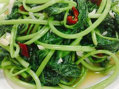 酸笋红薯叶-真好吃牛杂(白沙店)