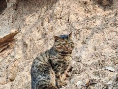 -终南山南五台景区