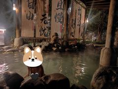 -张家港金凤凰度假村温泉