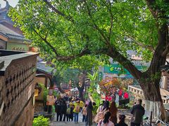 -重庆十八梯传统风貌区