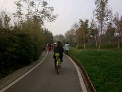 -白鹭湾湿地公园