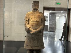 -安阳博物馆