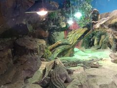 -沙沙哗啦海洋馆(华宇百花谷店)