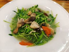 -花溪雨·森林餐厅(石基店)