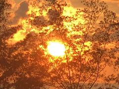 -Sunset Bar(丹绒亚路香格里拉店)