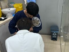 -瑞派天使宠物医院·神经外科·骨科·核磁CT(洛川中路店)