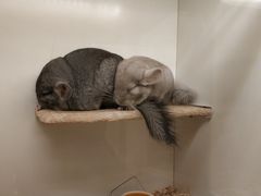 -龙猫仔乐园(惠福东路店)