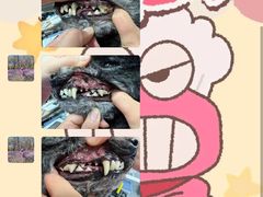 -宠福鑫康馨动物医院·骨科·眼科