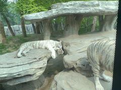 -北京野生动物园