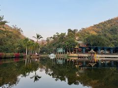-西双版纳原始森林公园