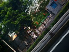 -合肥滨湖国家森林公园