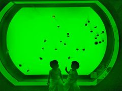 -沈阳海洋探索中心