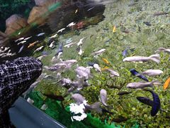 -常州海昌海洋探索馆
