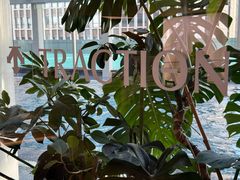 -TRACTION 运动中心(金融街店)
