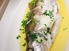 -荷塘秋月·本帮江浙菜(国权路店)