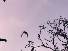 -翕庐小苑