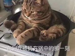 -意成料理