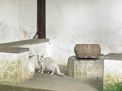 -北寺塔