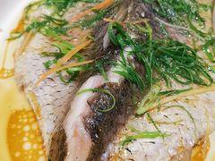 -银珠渔港·海鲜砂锅粥