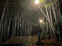 -峙山公园