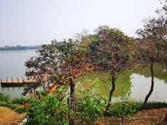 -海珠湖公园