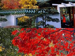 -中山公园