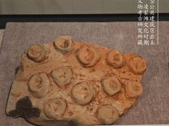 -北京大学赛克勒考古与艺术博物馆