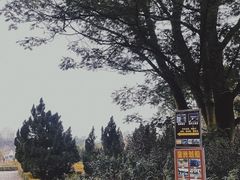 -南沙蒲洲花园
