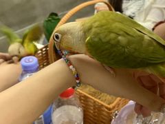 -吾叁·吉趣鸟咖(万科店)