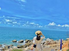 -广东惠东海龟国家级自然保护区