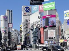 -涩谷全向十字路口