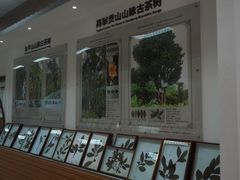 -西南林业大学(白龙校区)