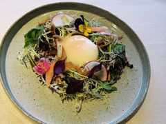 -Oyster Talks 四度蚝法餐厅