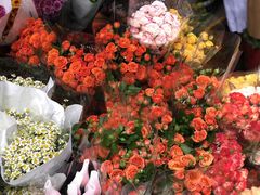 -循礼门鲜花花市(武汉循礼门店)