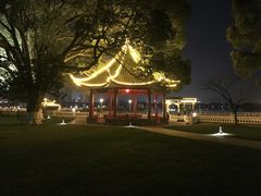 -君来湖滨饭店·玫瑰园