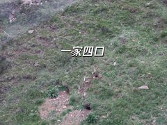 -黄河九曲第一湾