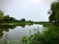 -东郊湿地公园