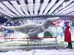 -宁波冰雪大世界(北仑区)