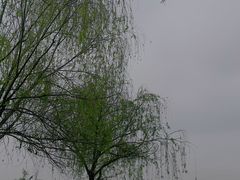 -那考河湿地公园