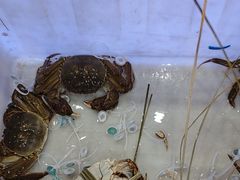 -蟹状元大闸蟹·年货·粽子(成都成华店)