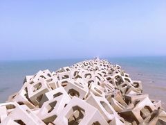 -东疆建设开发纪念公园