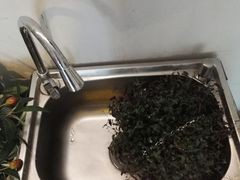 -平行世界·猫咖(首经贸店)