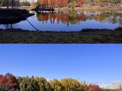 -沙湖公园