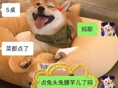 -冯记香辣兔火锅(茶店子总店)