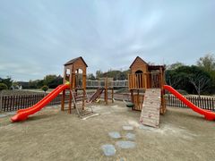 -同里国家湿地公园