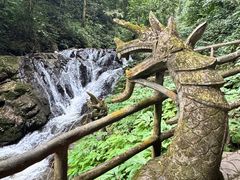 -莫里热带雨林景区