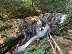 -莫里热带雨林景区